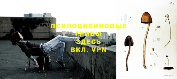спайс Зерноград