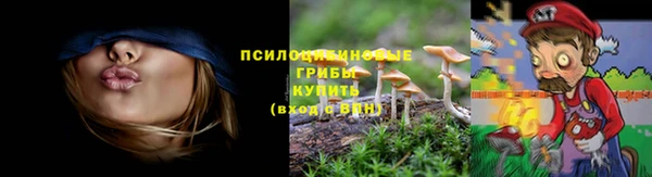 крисы Зеленокумск