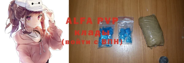 крисы Зеленокумск
