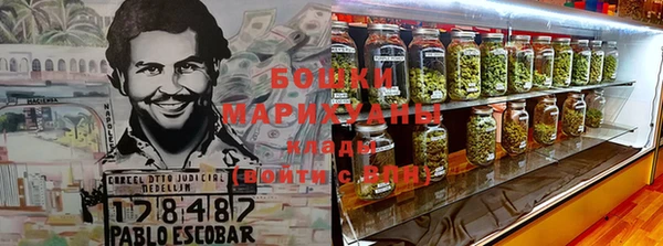 крисы Зеленокумск