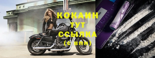 крисы Зеленокумск