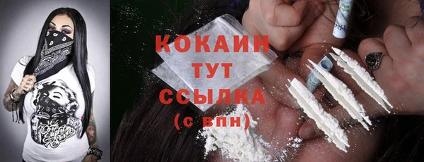 крисы Зеленокумск